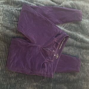 LOFT  Deep Purple jeans